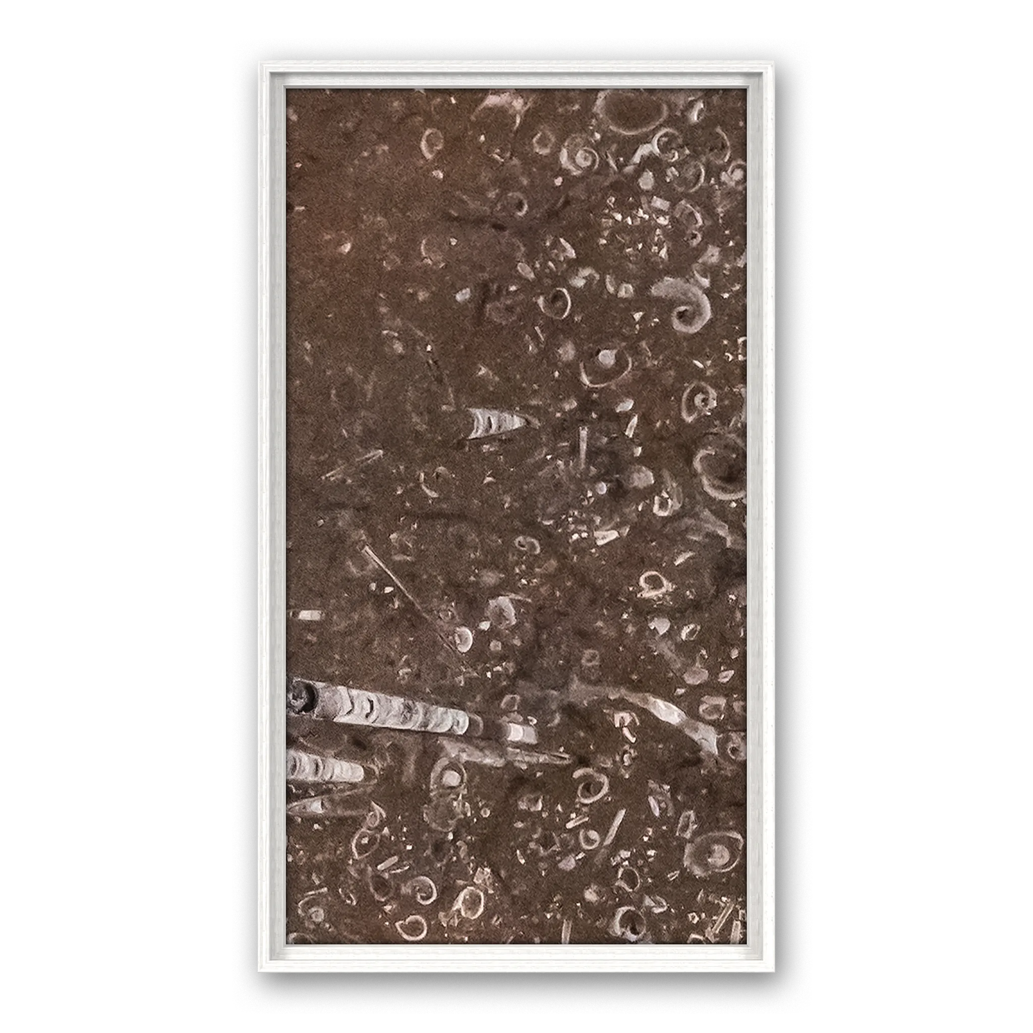 Tempus Sediment