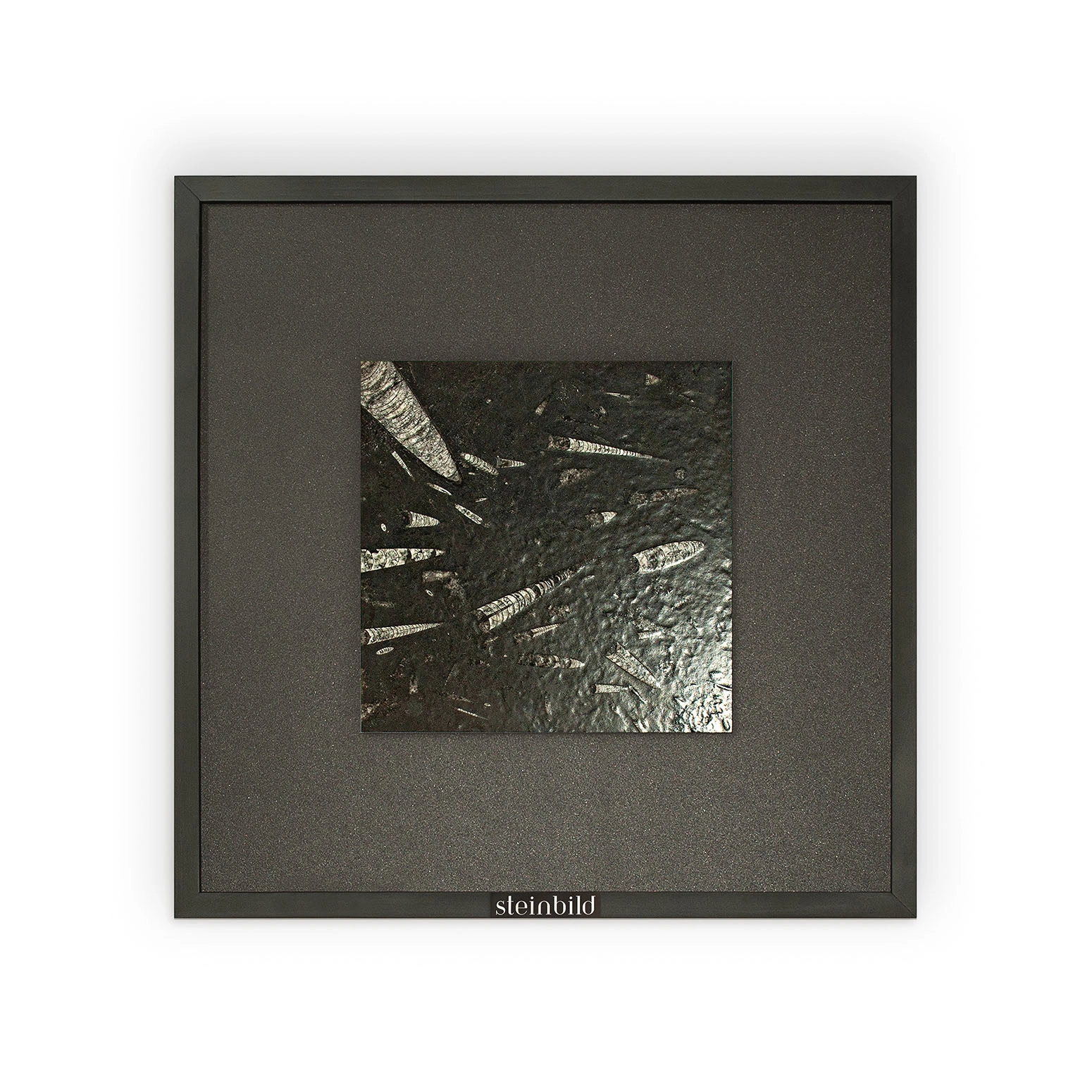 FL Diadem Square S5050