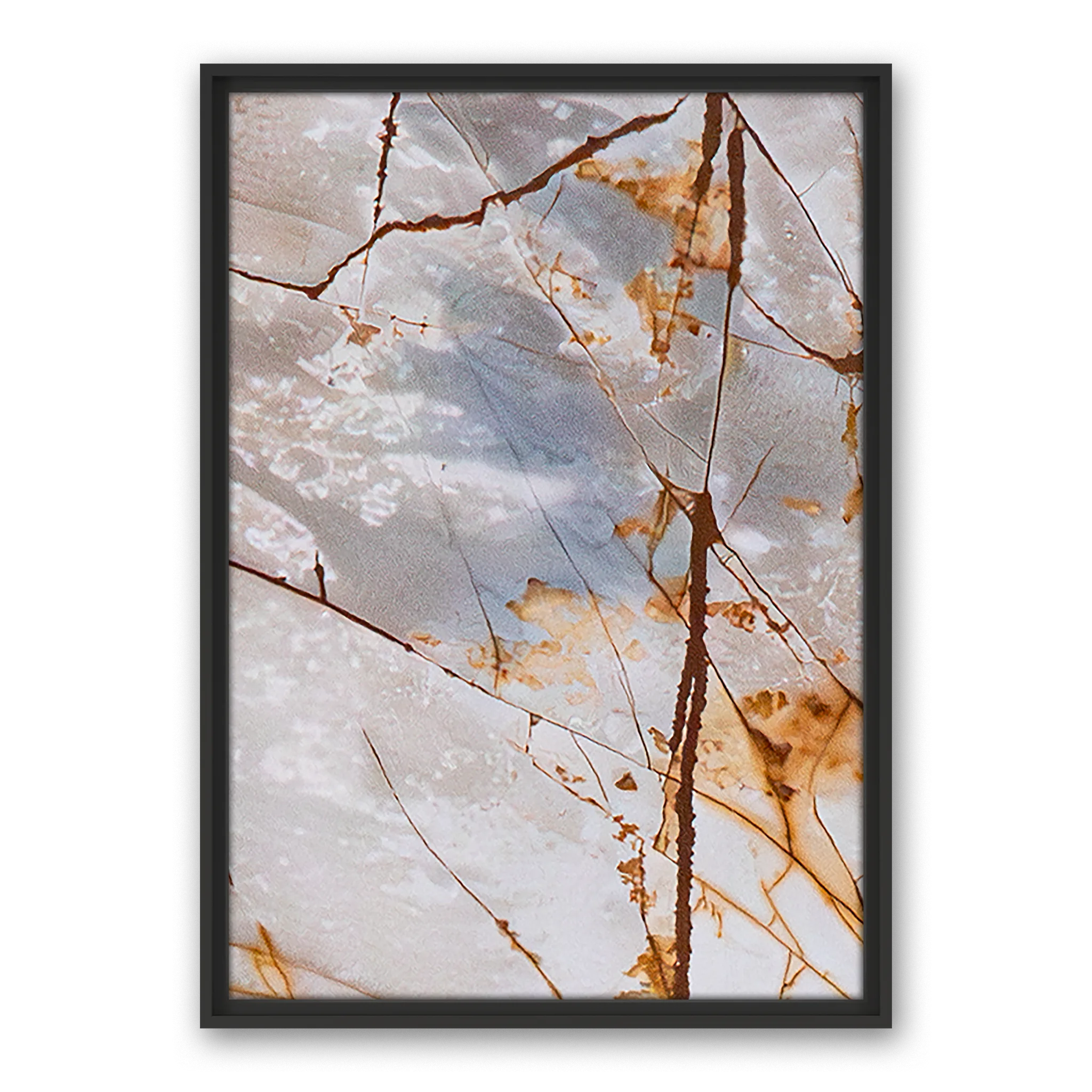Golden Dream