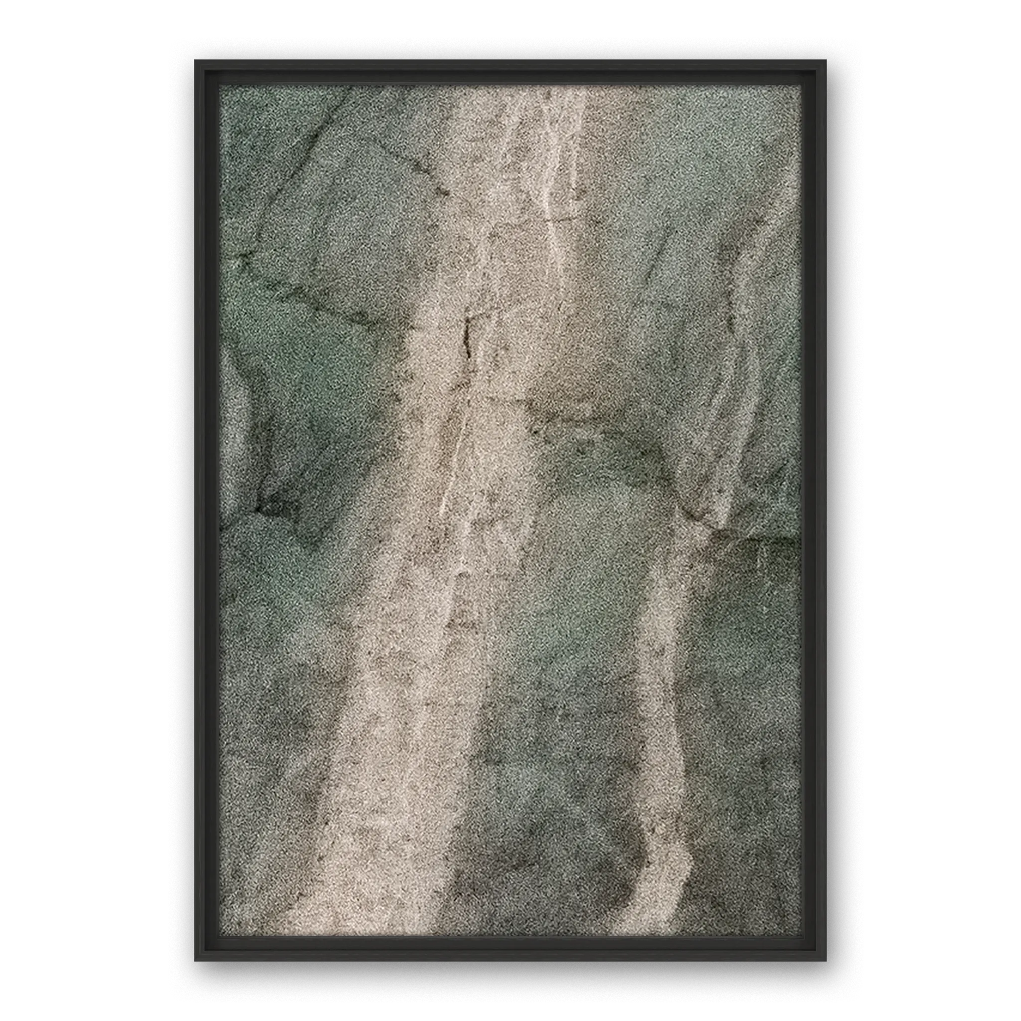 Cordillera Selva