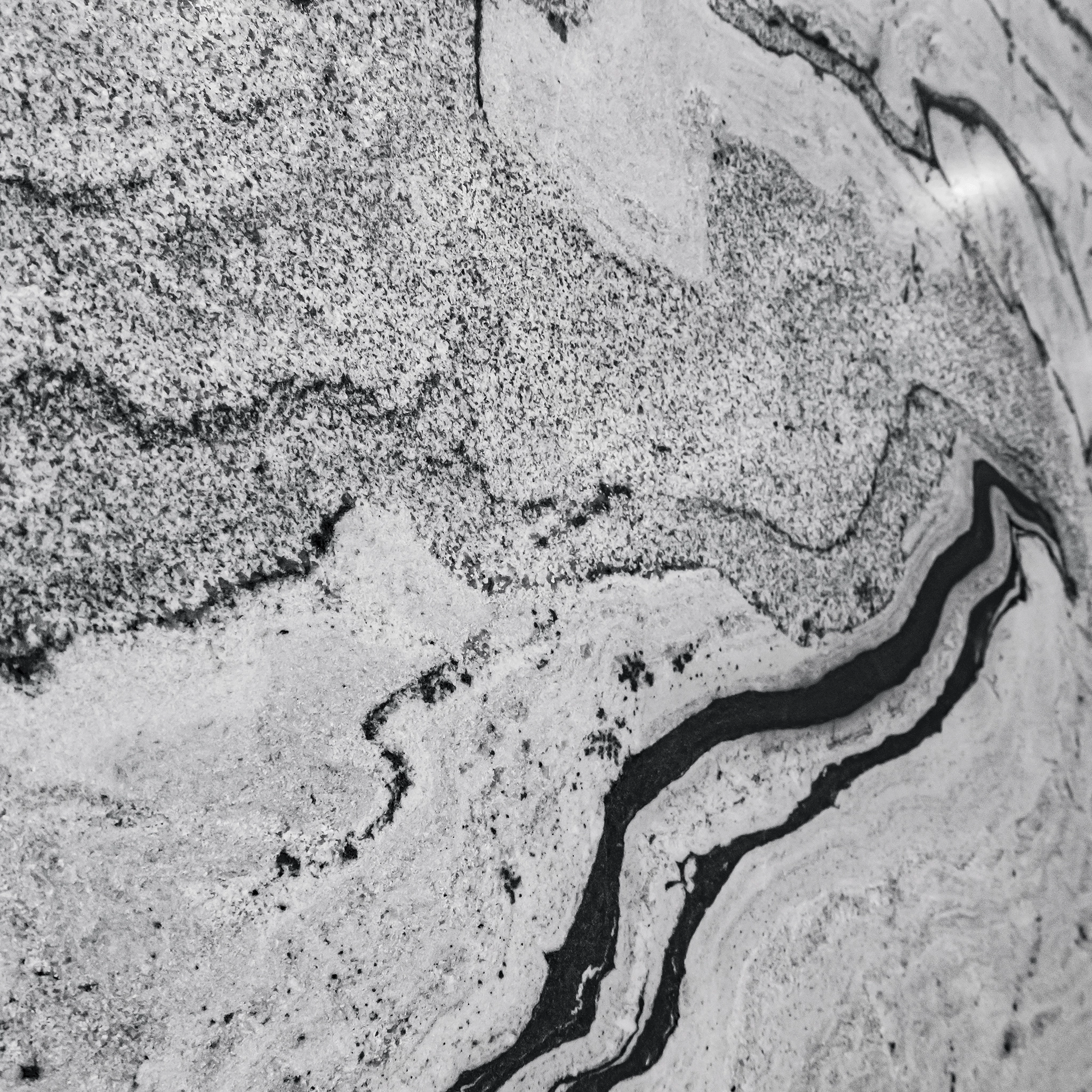 Arenaria Ocean
