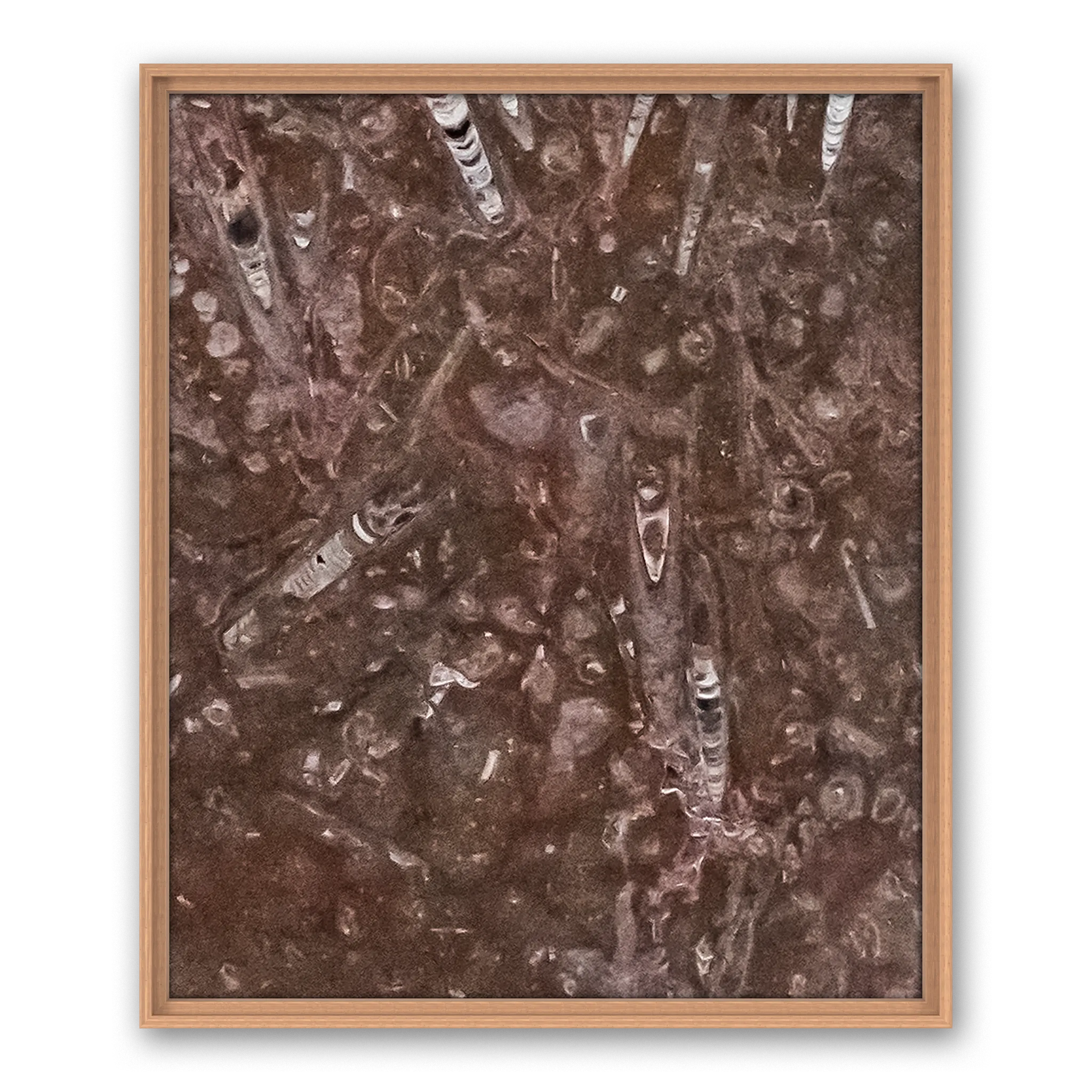 Tempus Pietra Tempus Pietra