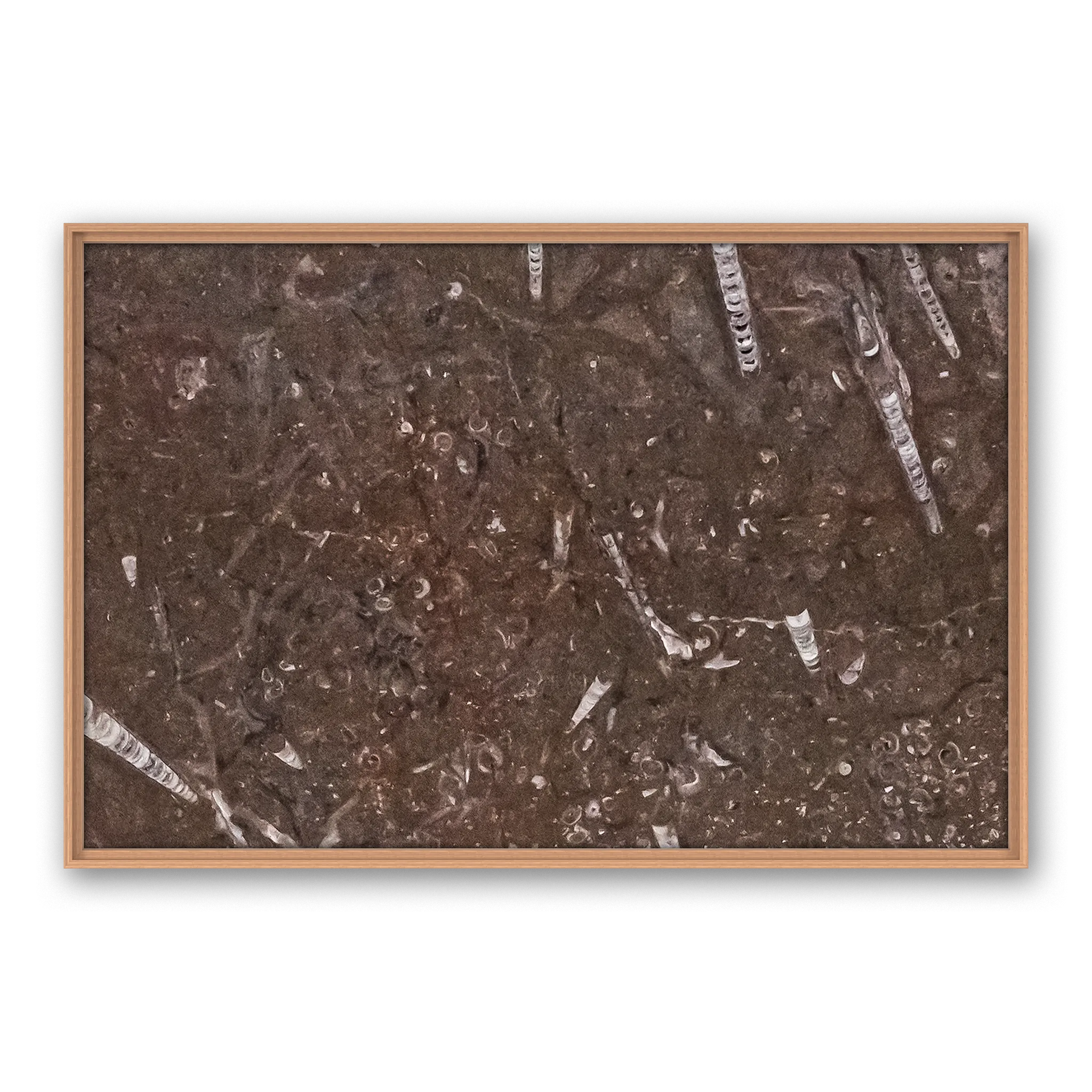 Tempus Soil
