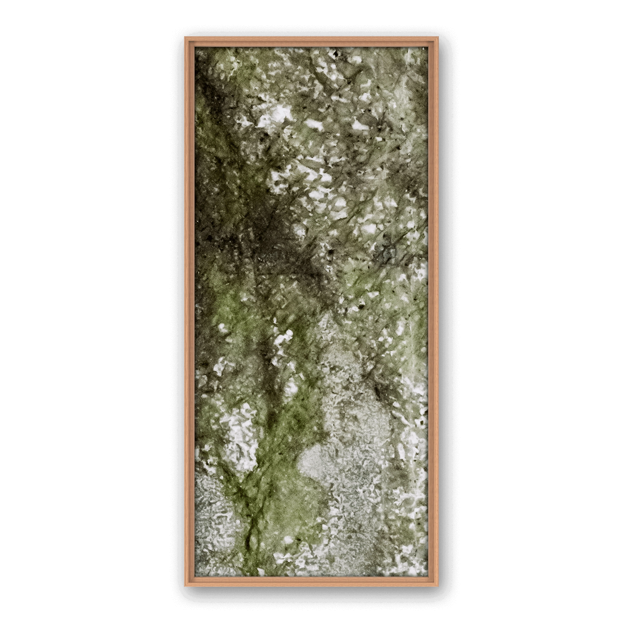 Robinia Star Robinia Star