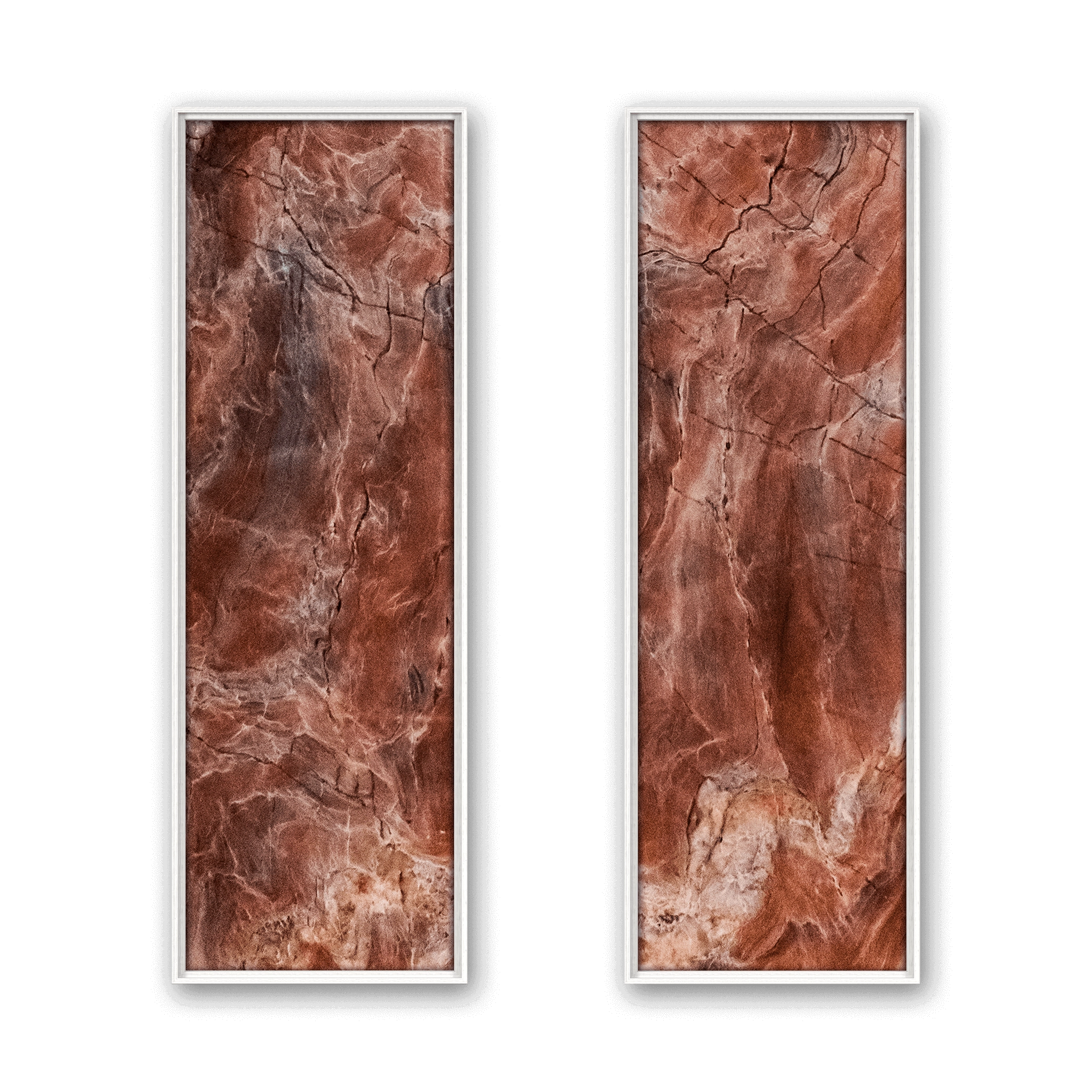 Electra Vein