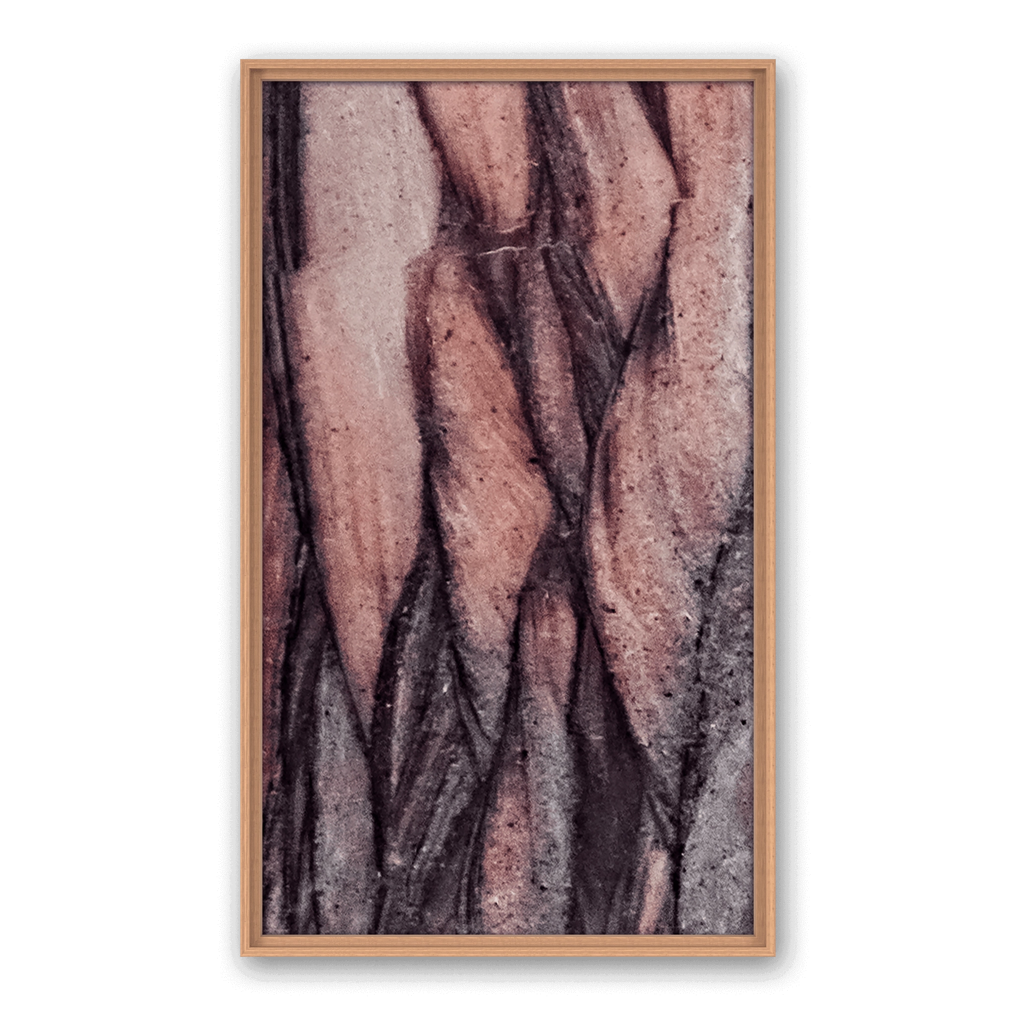 Desert Fiber