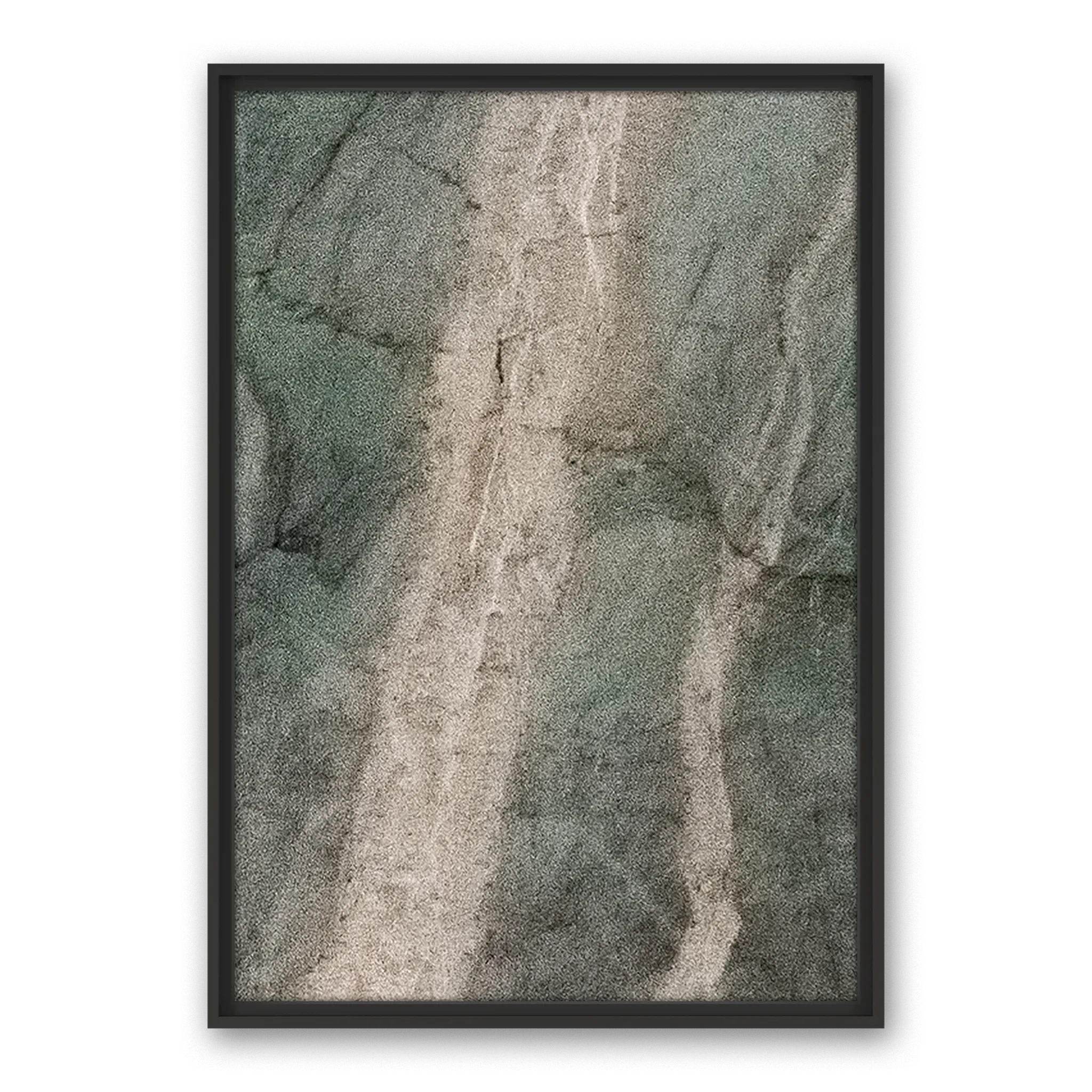 Cordillera Selva